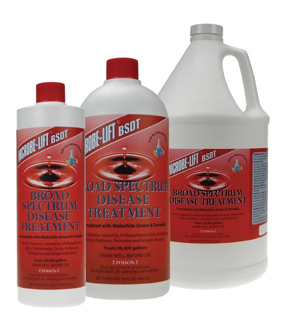 Bio-Black Enzymes & Pond Colorant