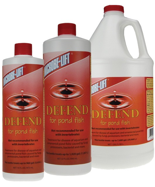 Soy-Based Cleaner