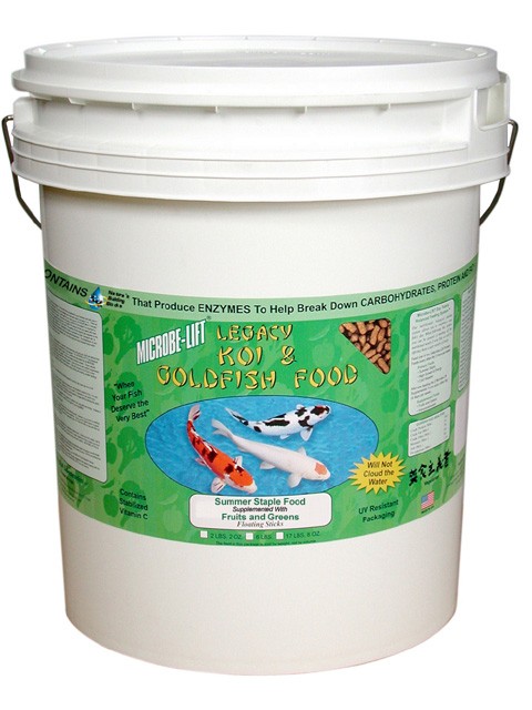 Bead Filter Bacteria